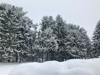 Christmas Morning Magic