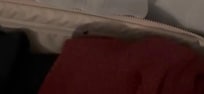 A roach in our clothes