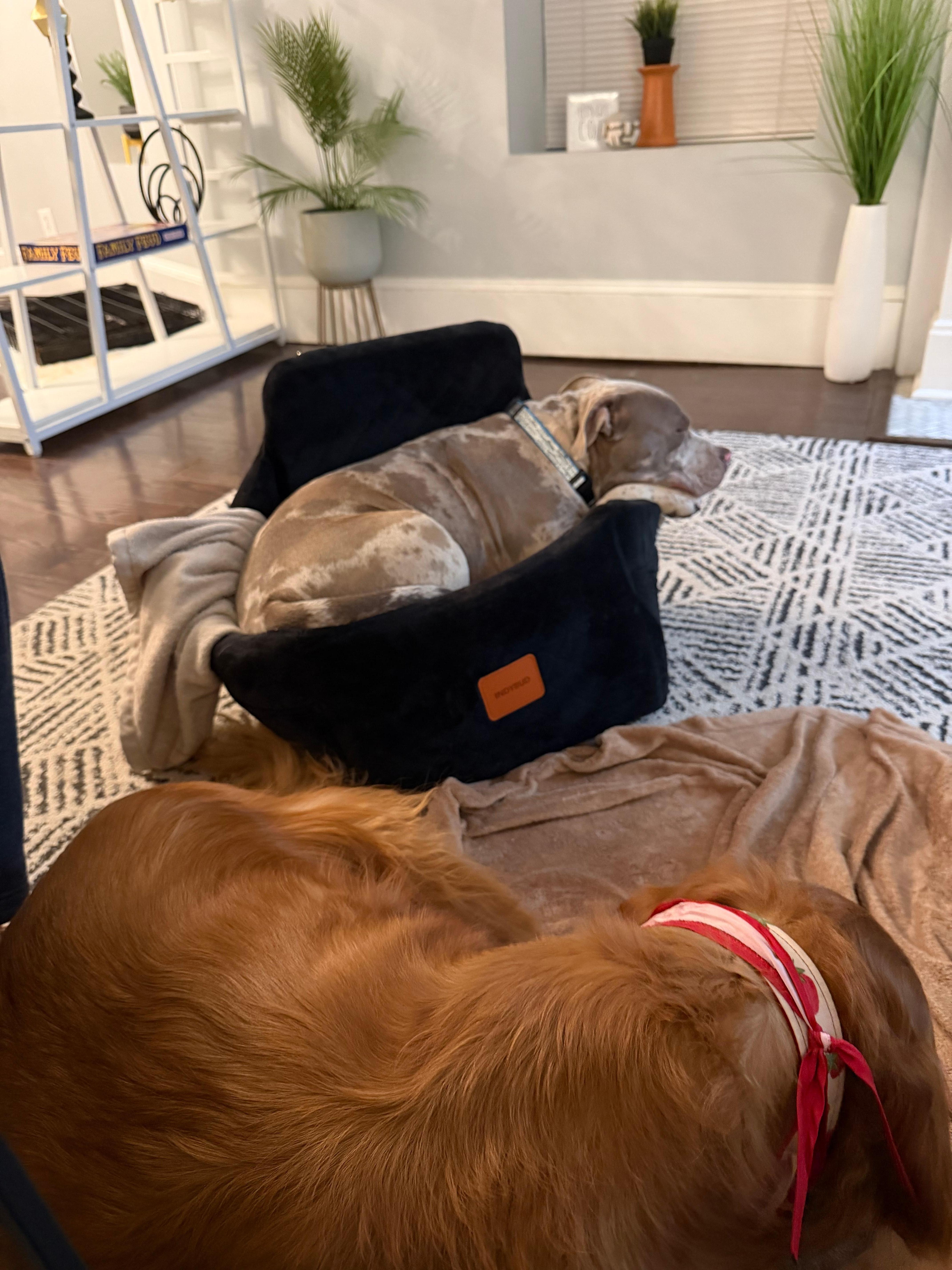 Traveling is hard work. They felt so comfortable in this home. 