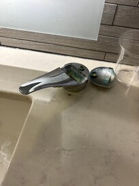 Multiple bathroom knobs looked like this.