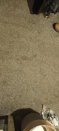 Dirty carpet