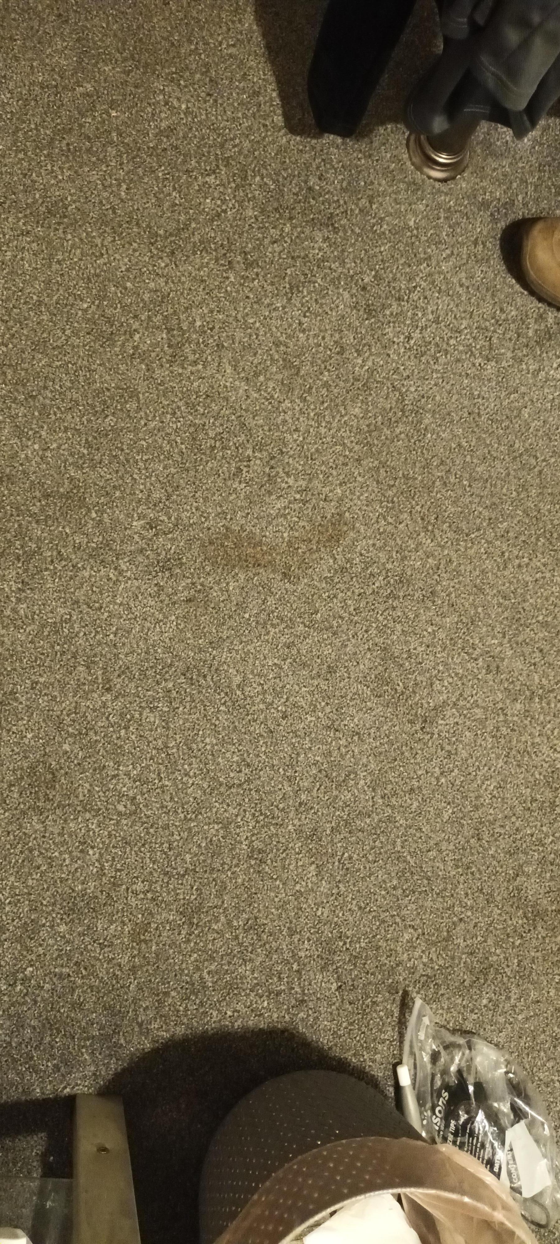 Dirty  carpet 