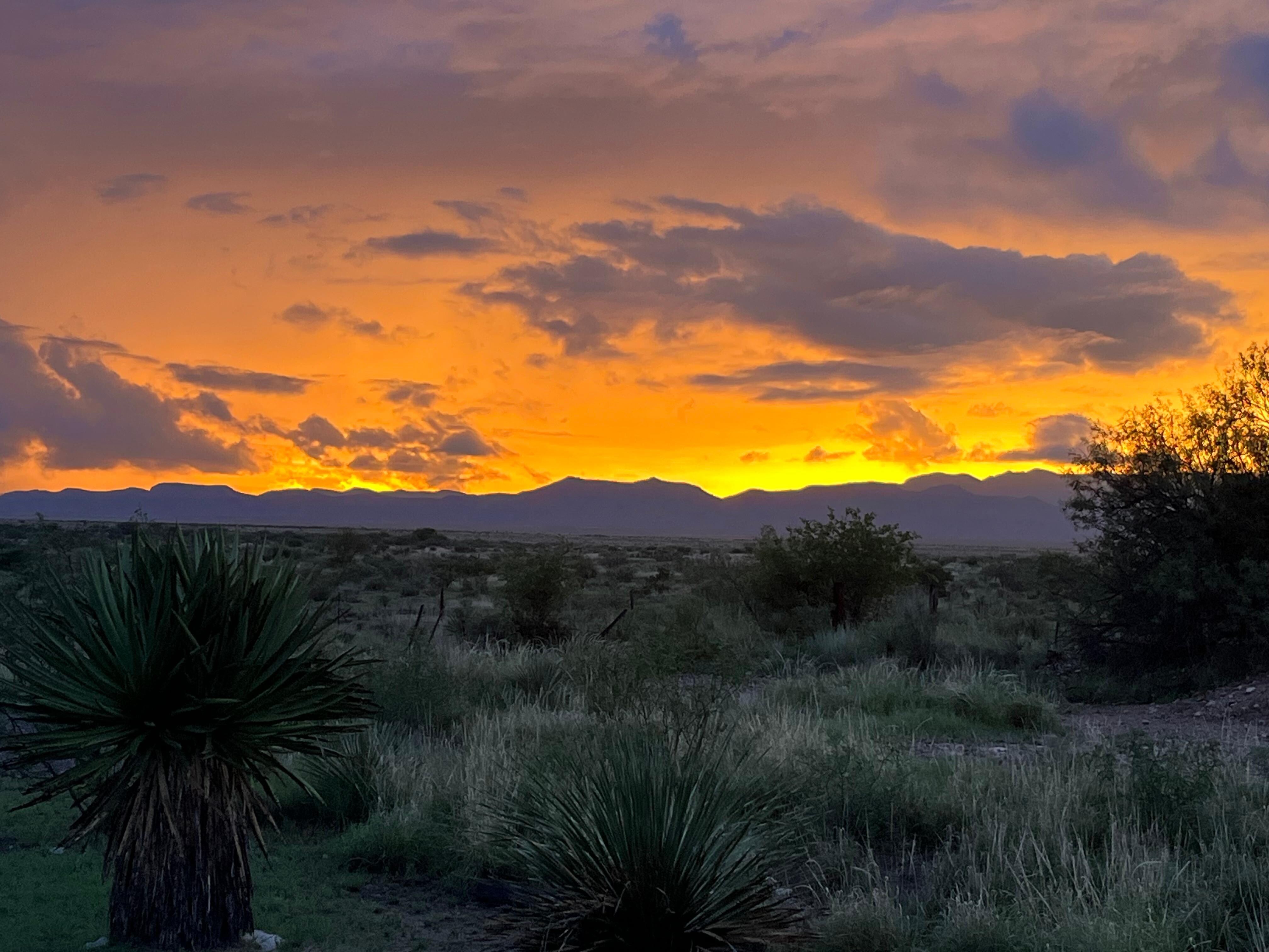 Beautiful sunset from the front porch.
