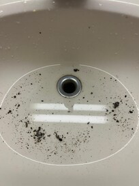 Sink backed up. Nasty