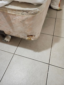 Disgusting box spring