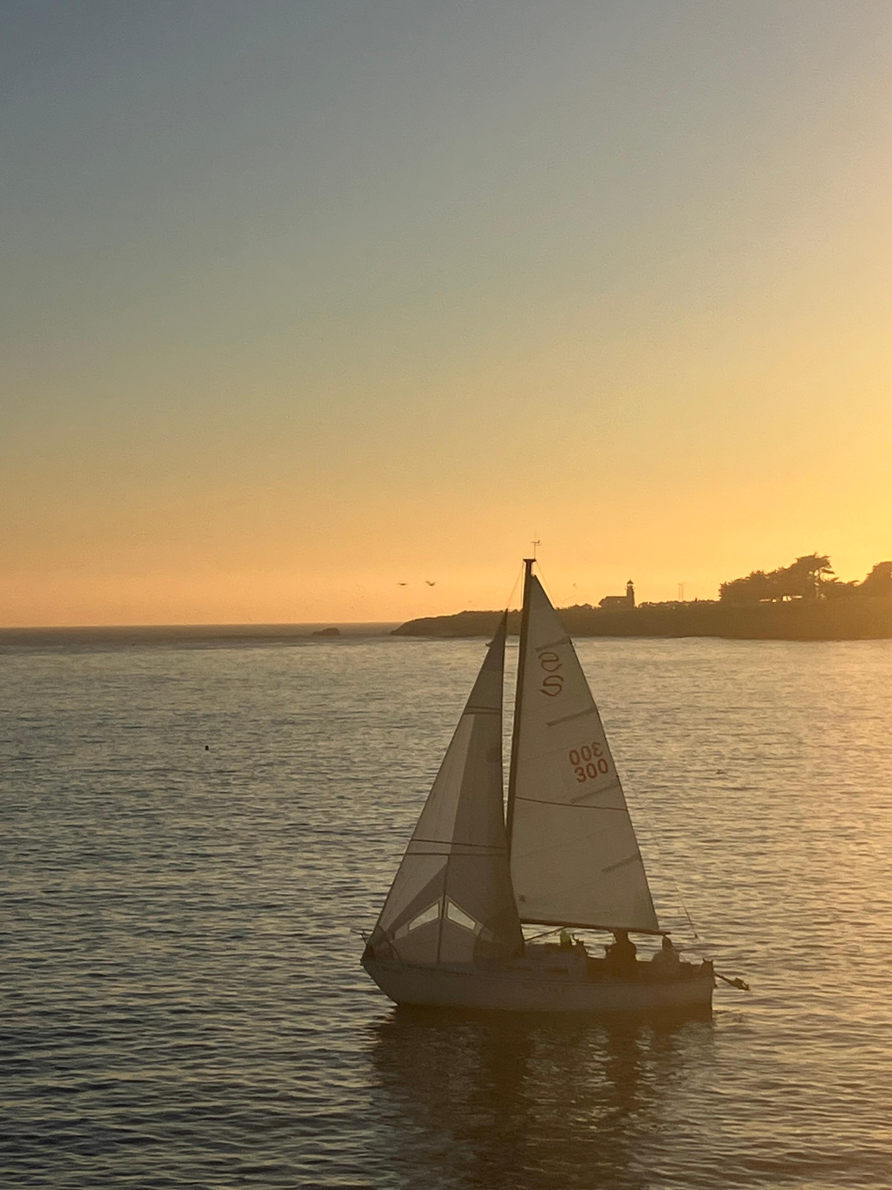 Walking distance your view from your dining table 
