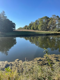 The view of the pond accessible for walks.