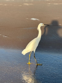Early morning walk on Daytona Beach