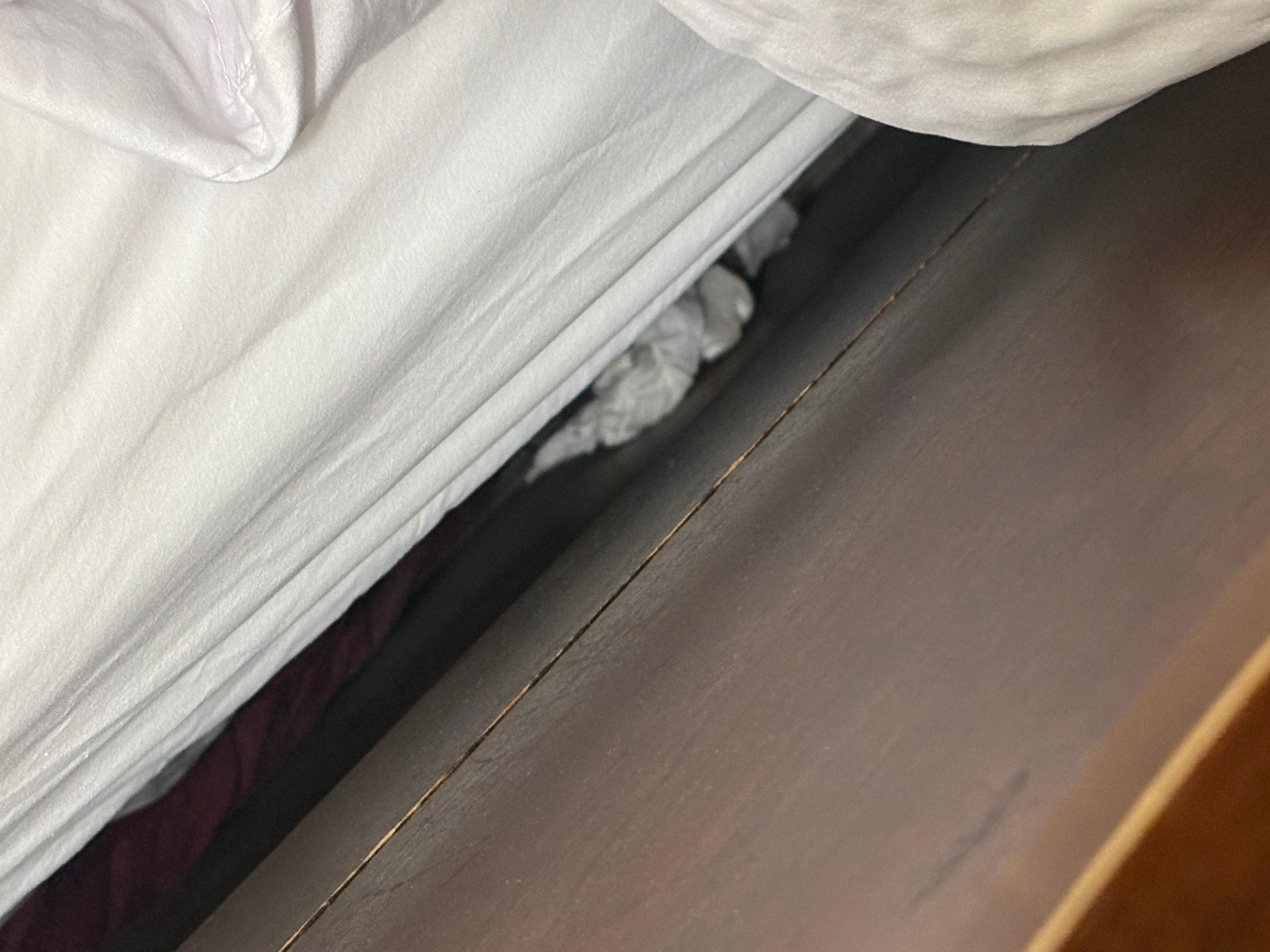 Used toilet paper tissues stuffed behind pillows-down between mattress and headboard.