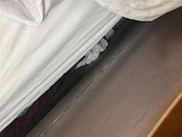 Used toilet paper tissues stuffed behind pillows-down between mattress and headboard.