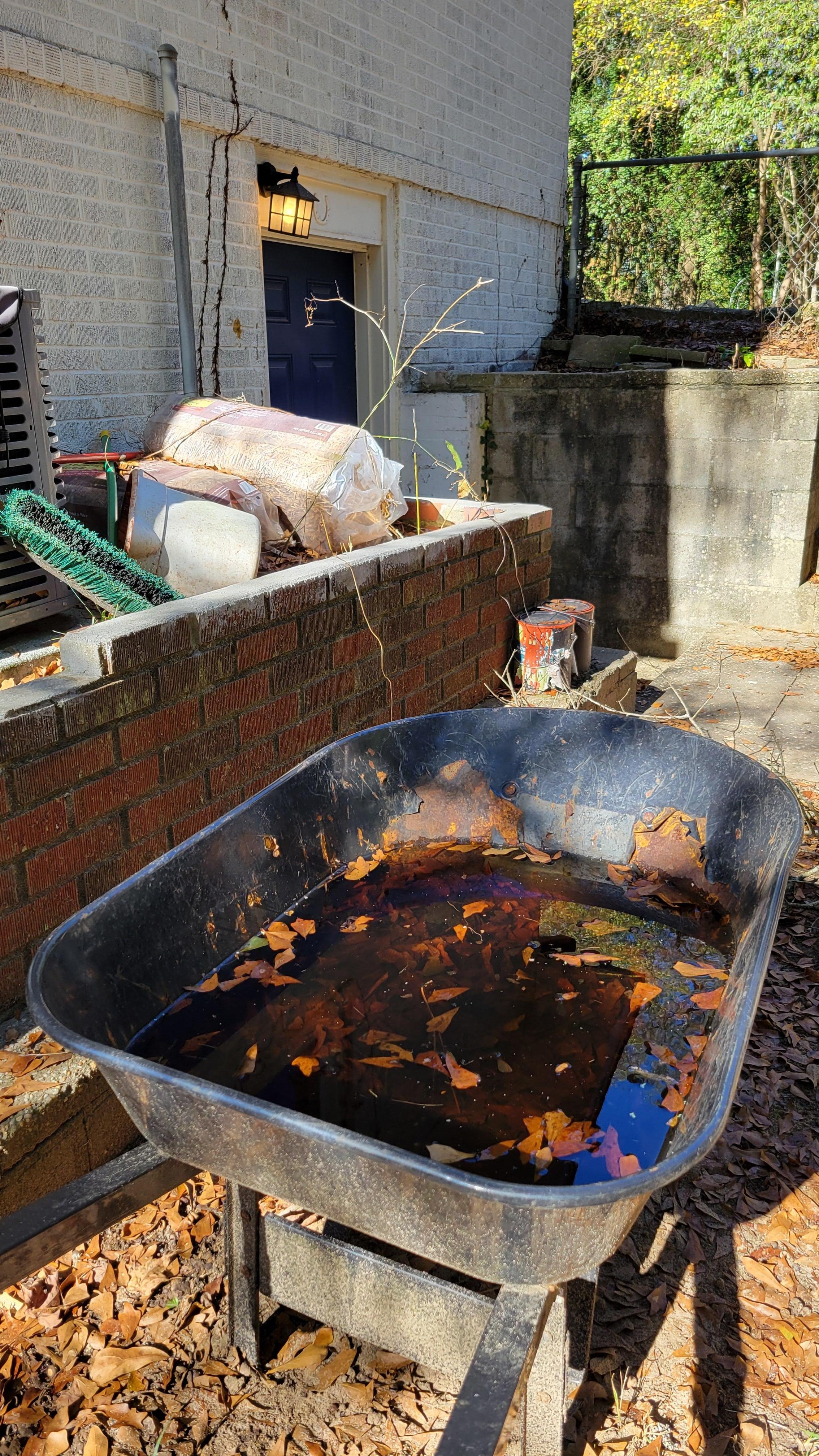 Wheelbarrow full of water, paint cans & other debris.