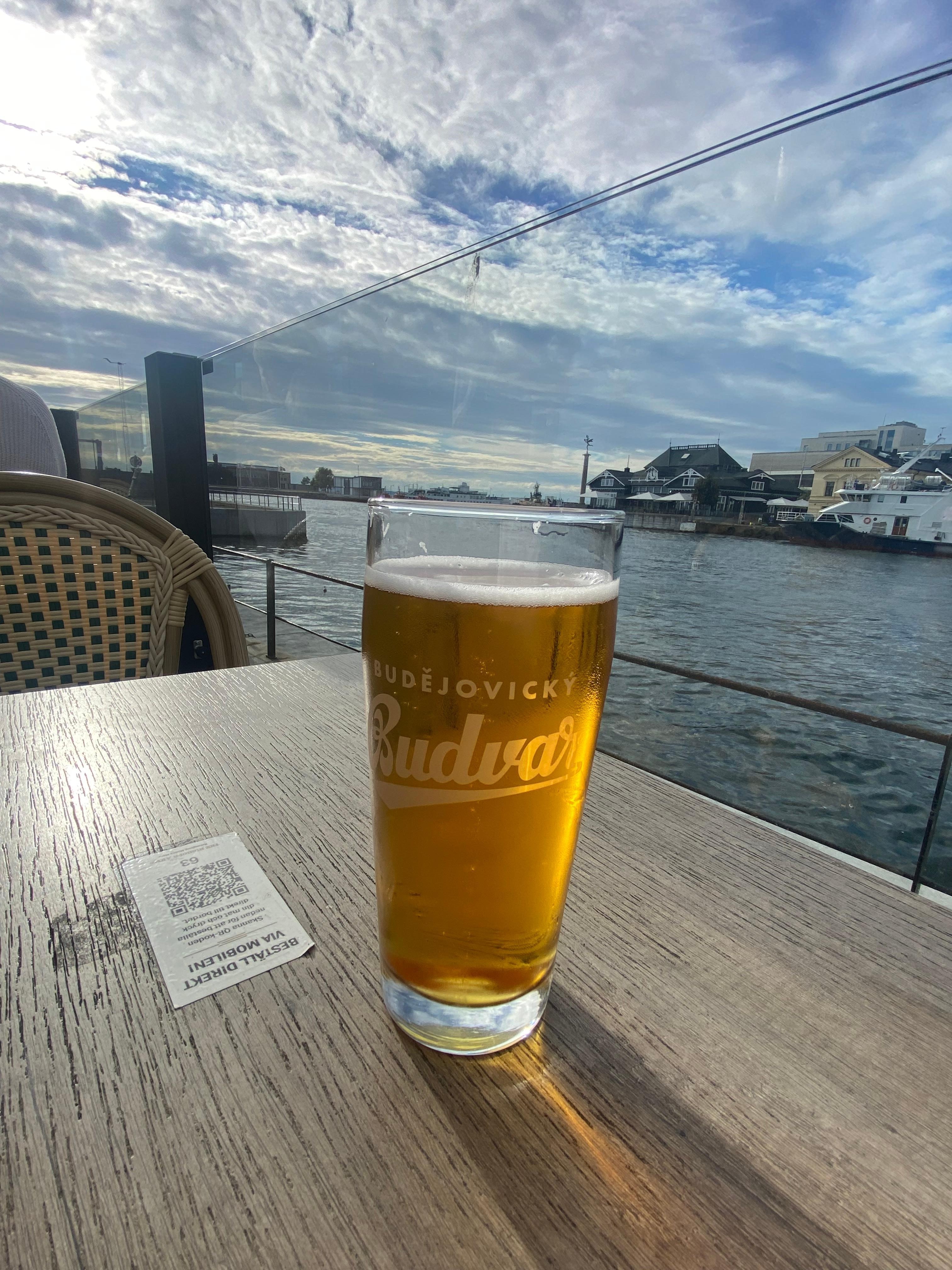 The view from the “out-side” bare in the sun.