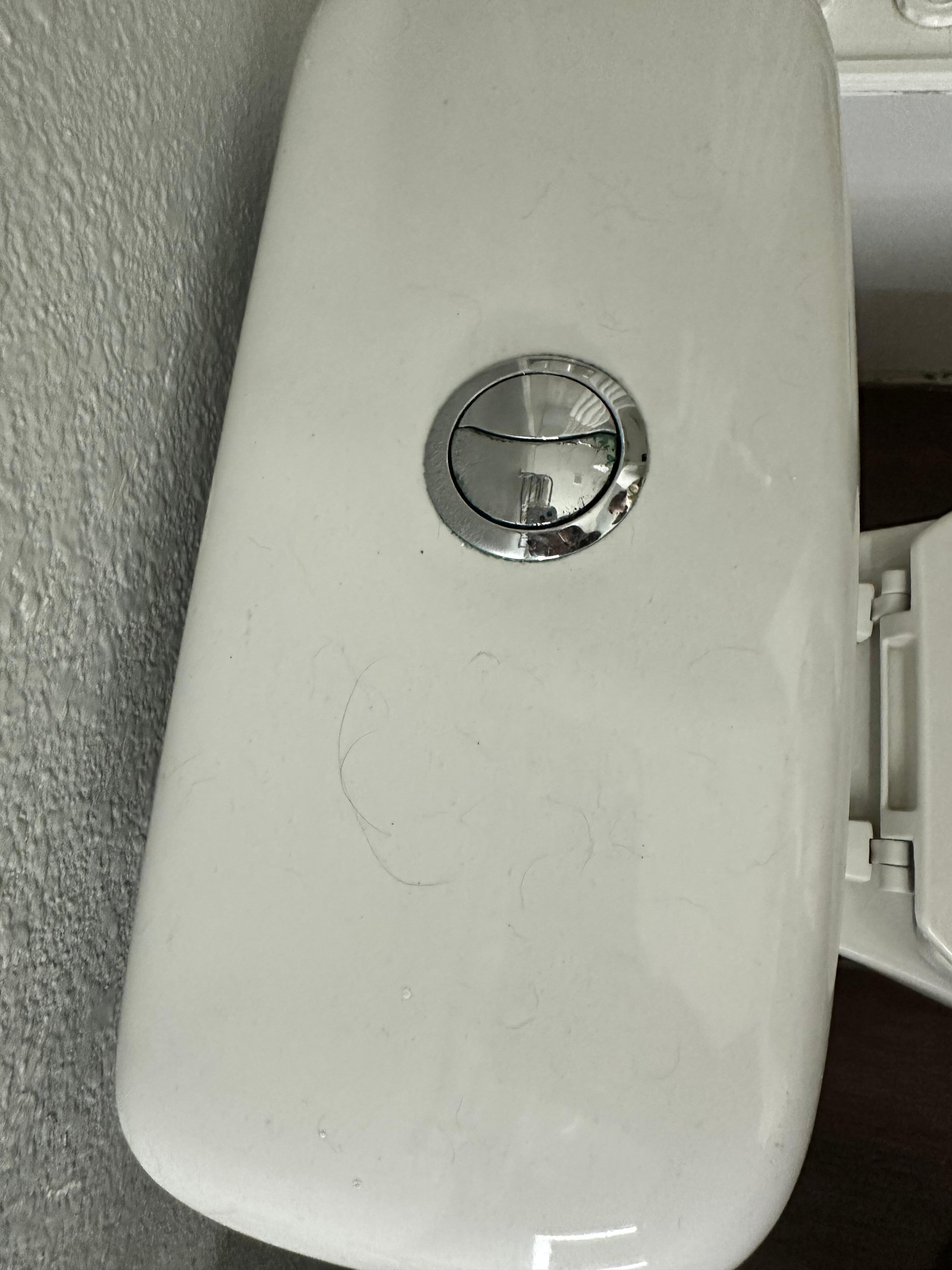 Hair on the toilet 