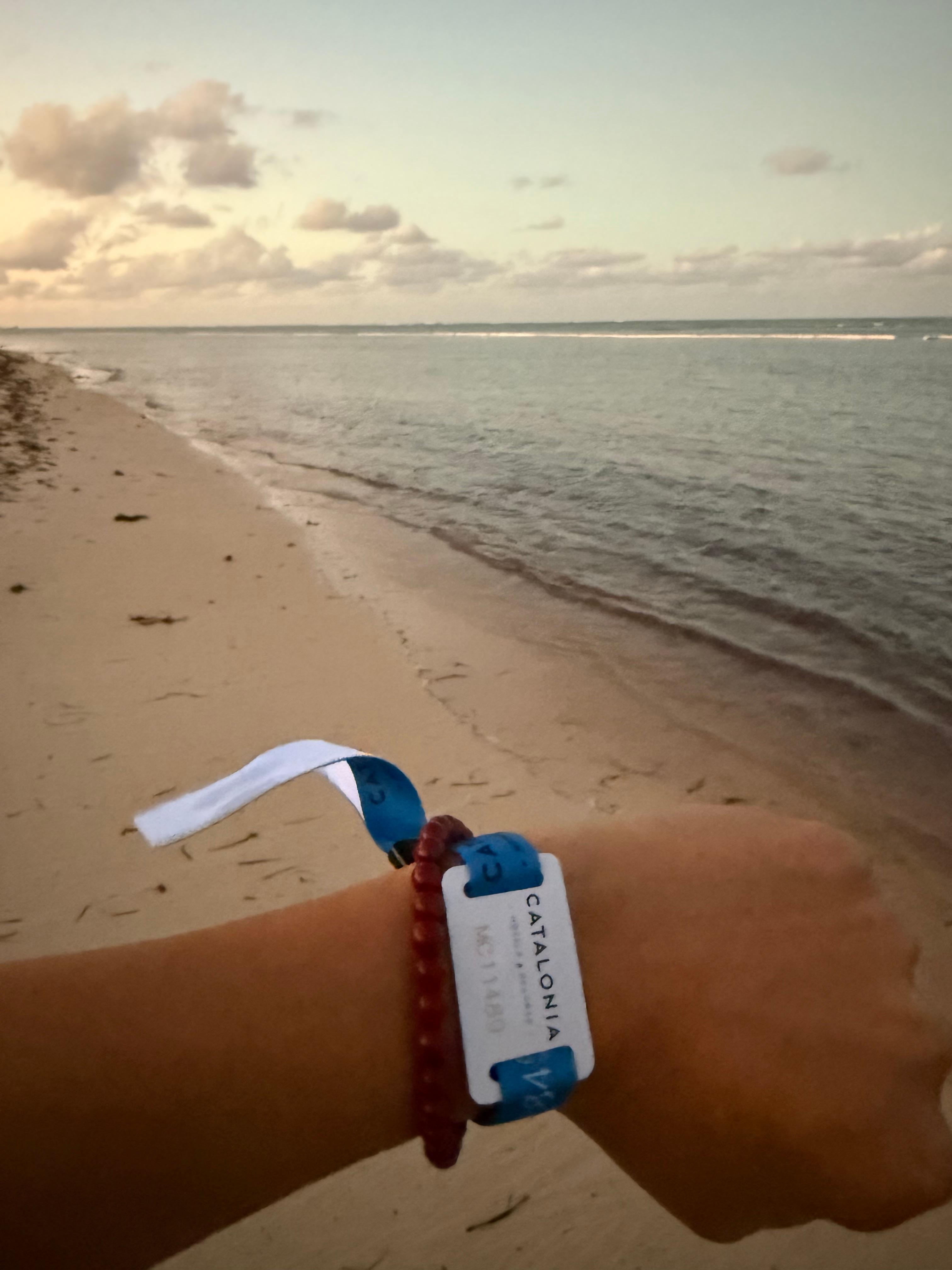 La vista es muy bonita 