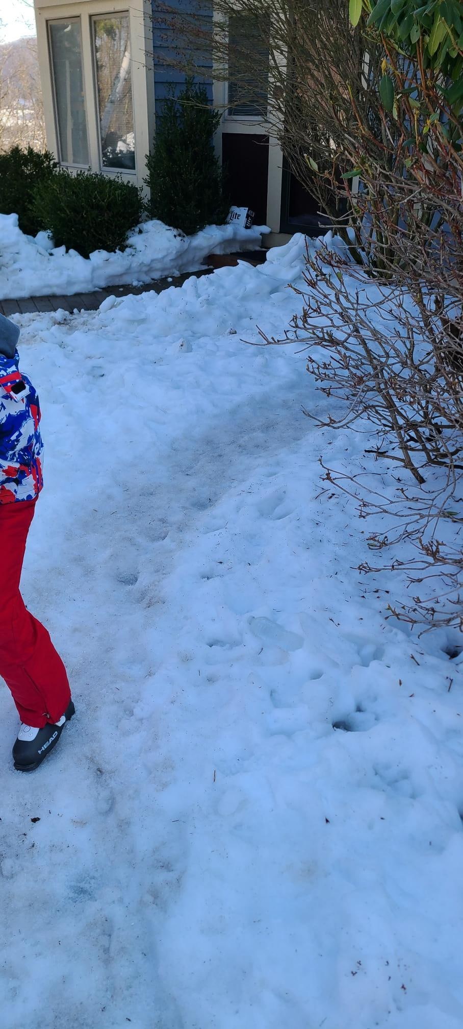 Walkway to the house