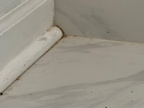 Decades of grime and stains on every floor & wall