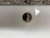 not thoroughly cleaned, items inside the drain--barf