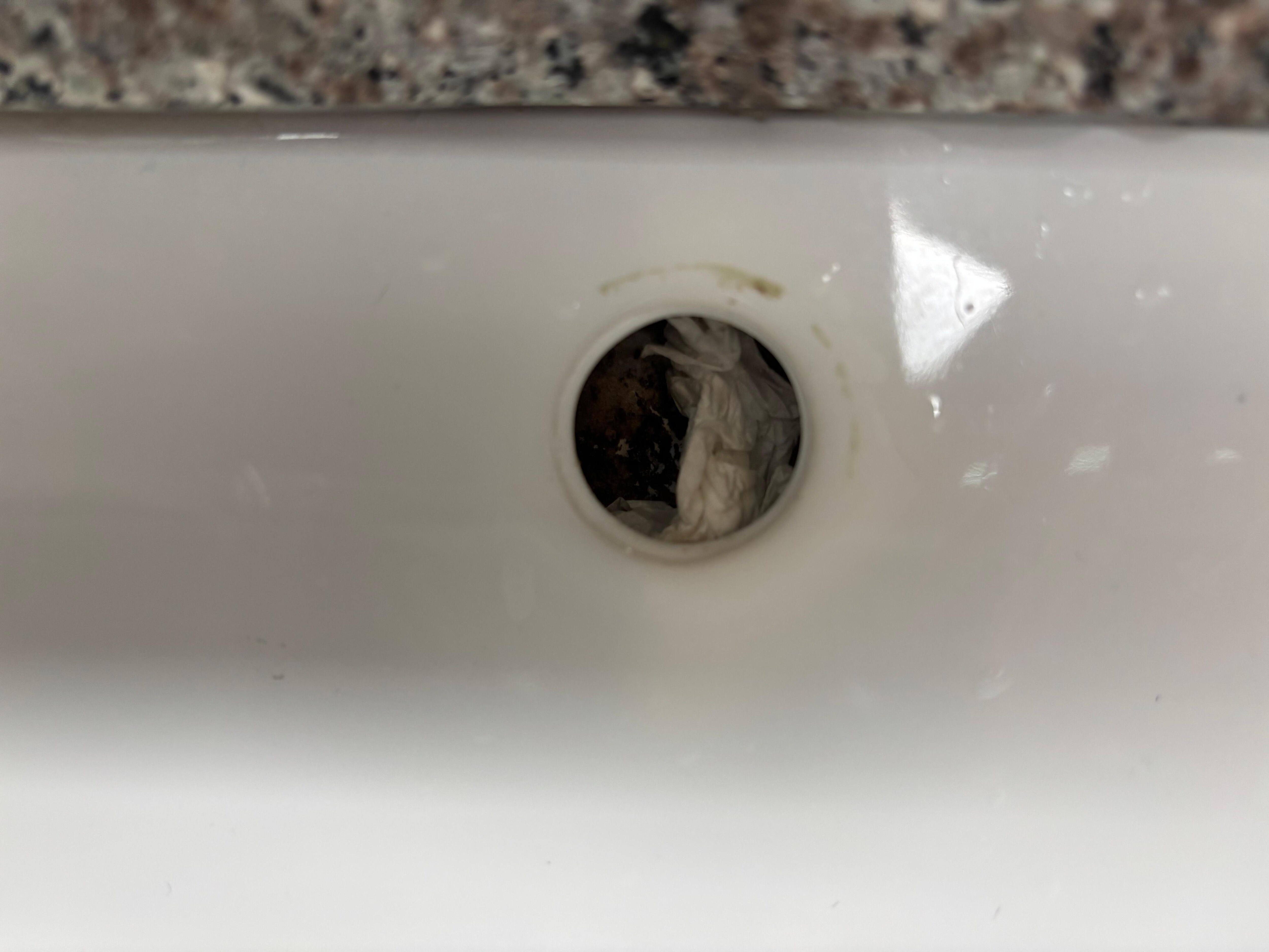 not thoroughly cleaned, items inside the drain--barf