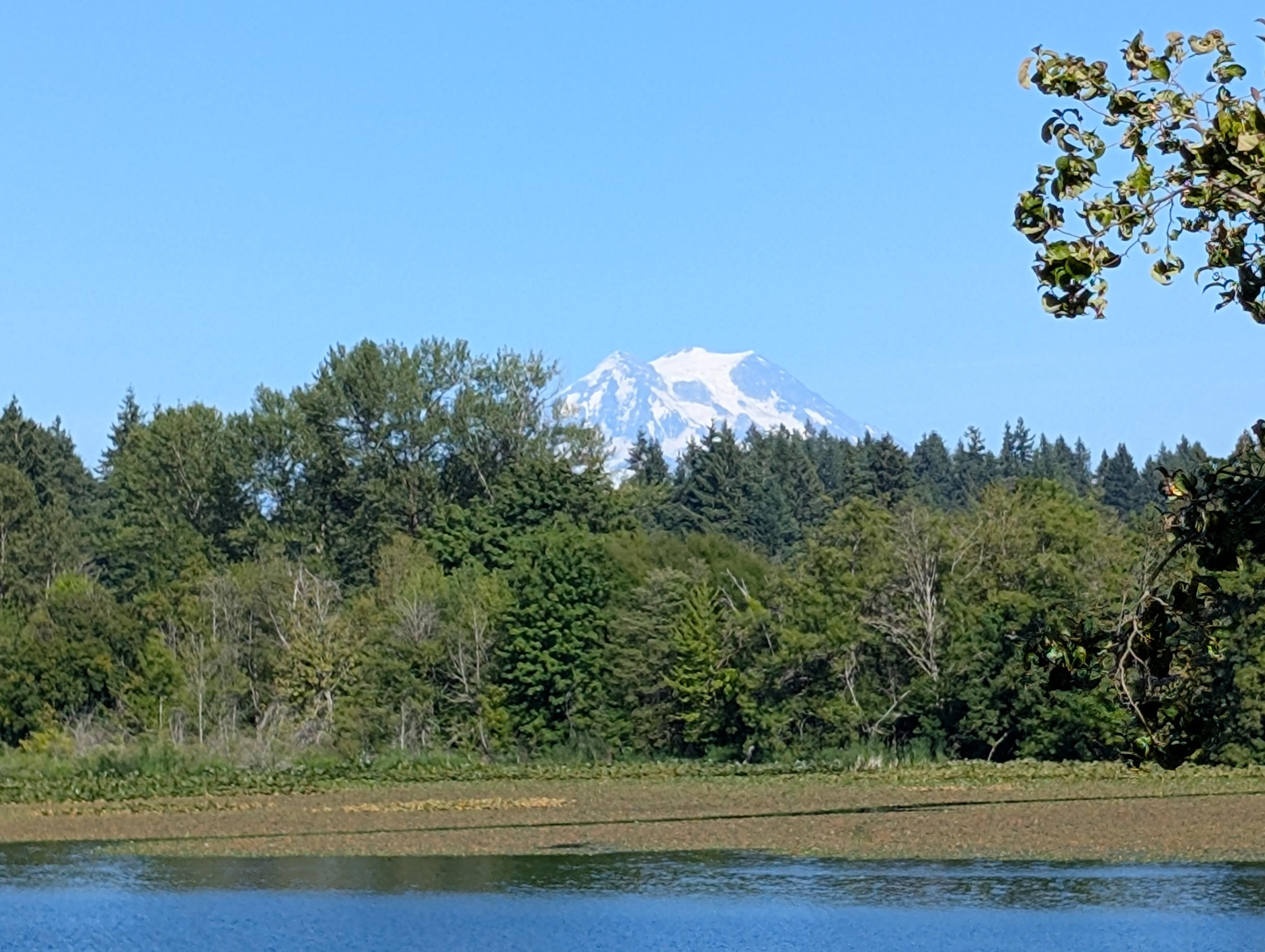 Mount Rainier
