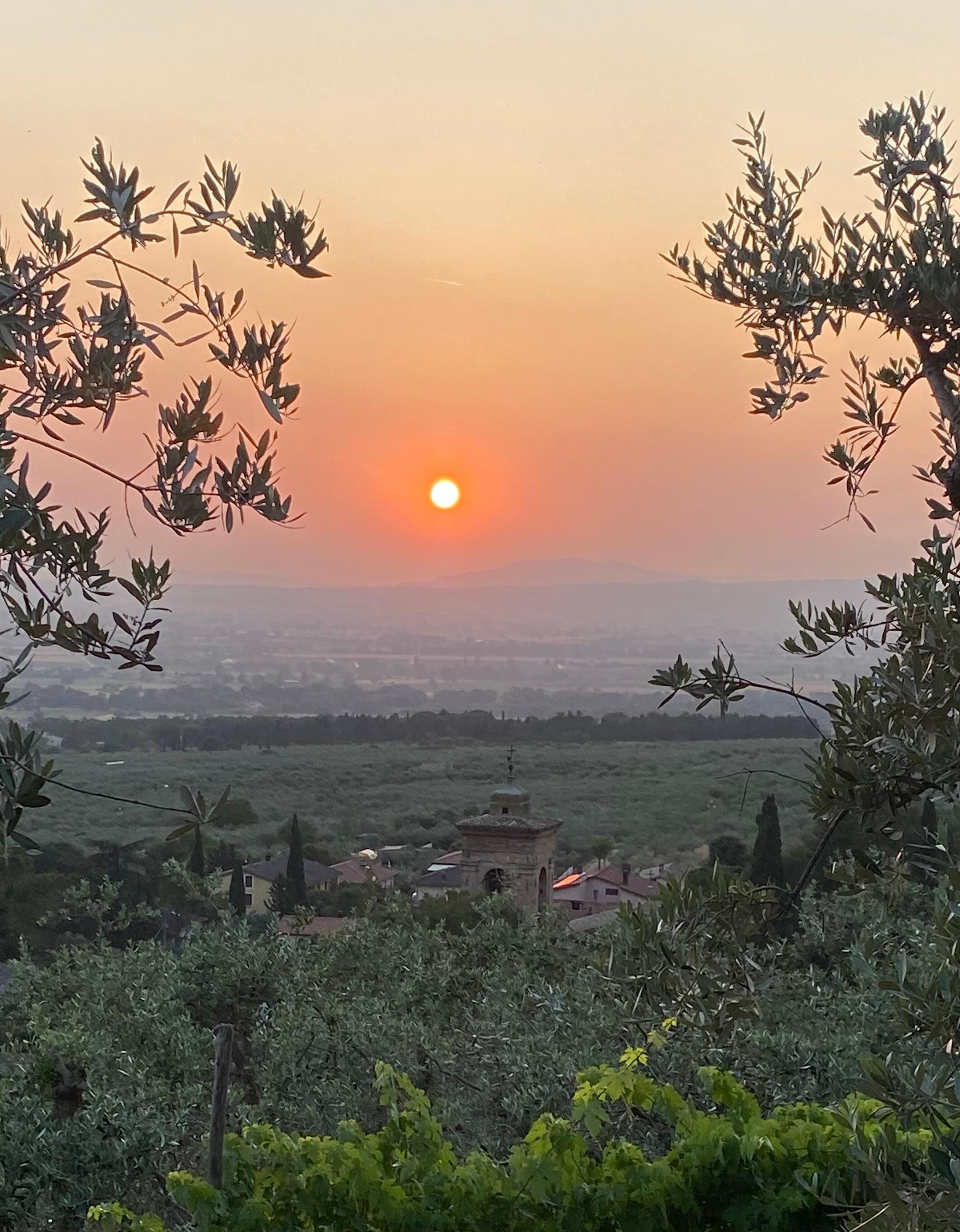 West from the terrace