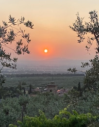 West from the terrace