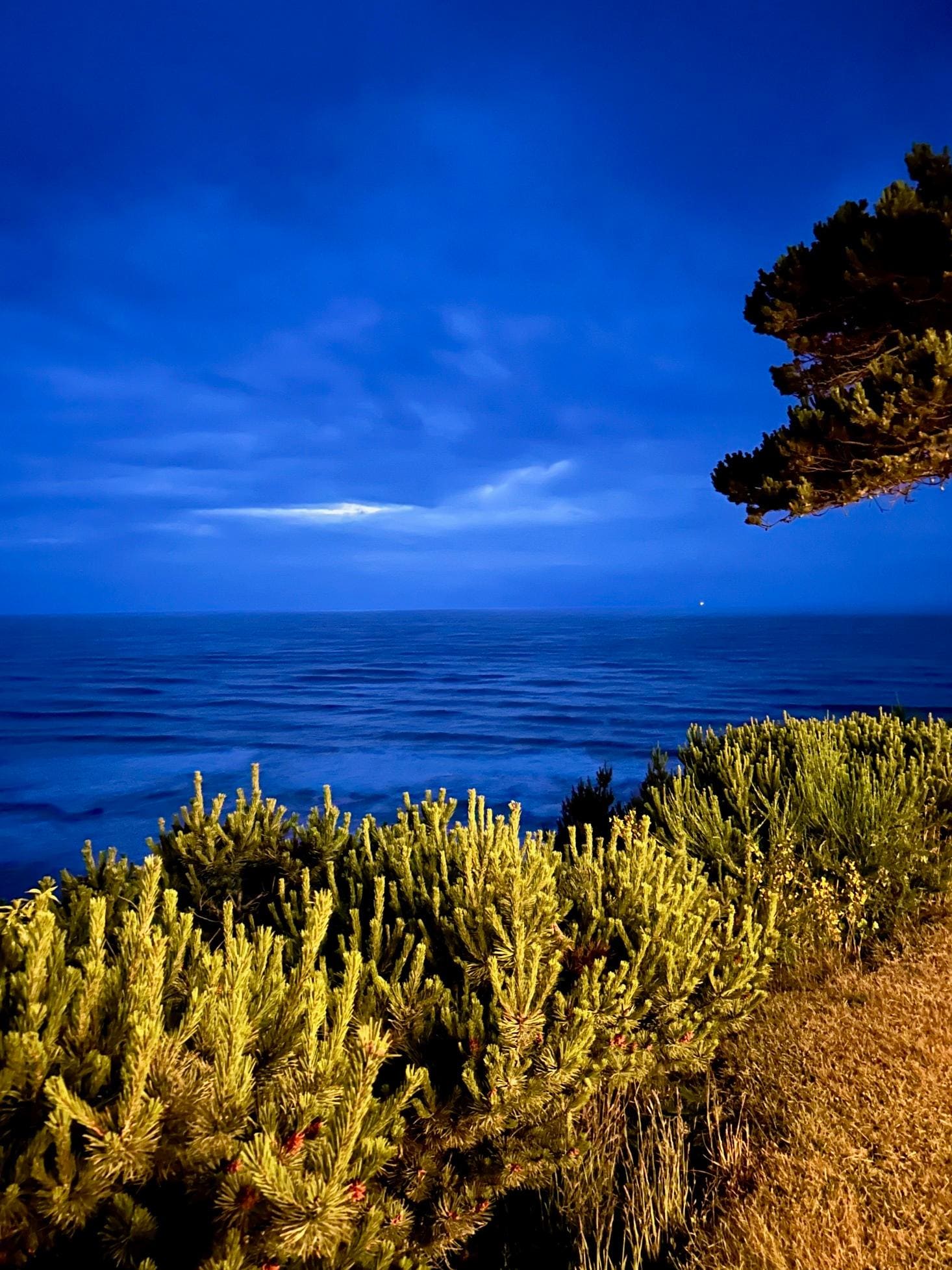 View at night from deck