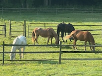 Morning View from Upper Balcony.