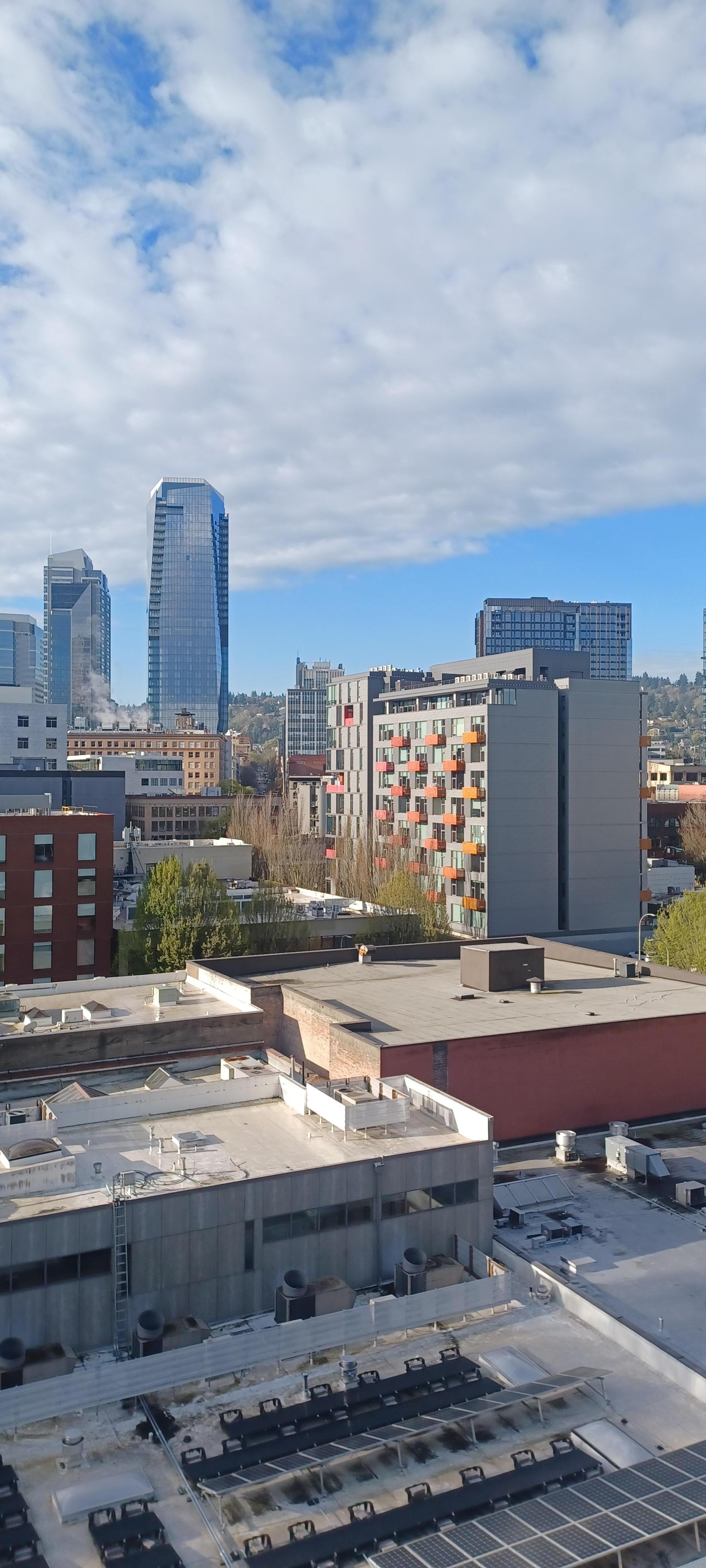 View from the rooftop terrace