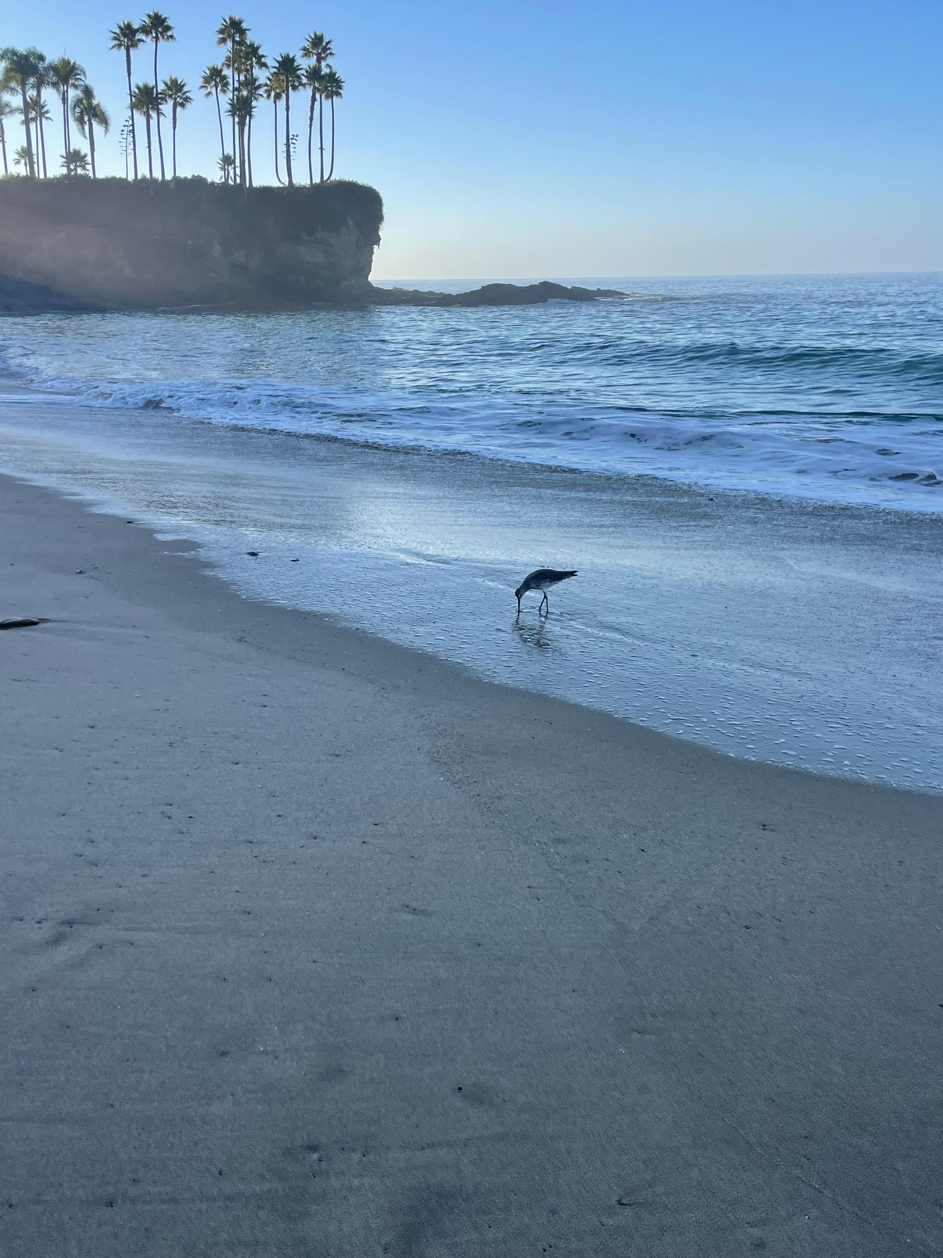 Nearby Crescent Bay Beach