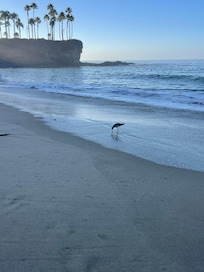 Nearby Crescent Bay Beach