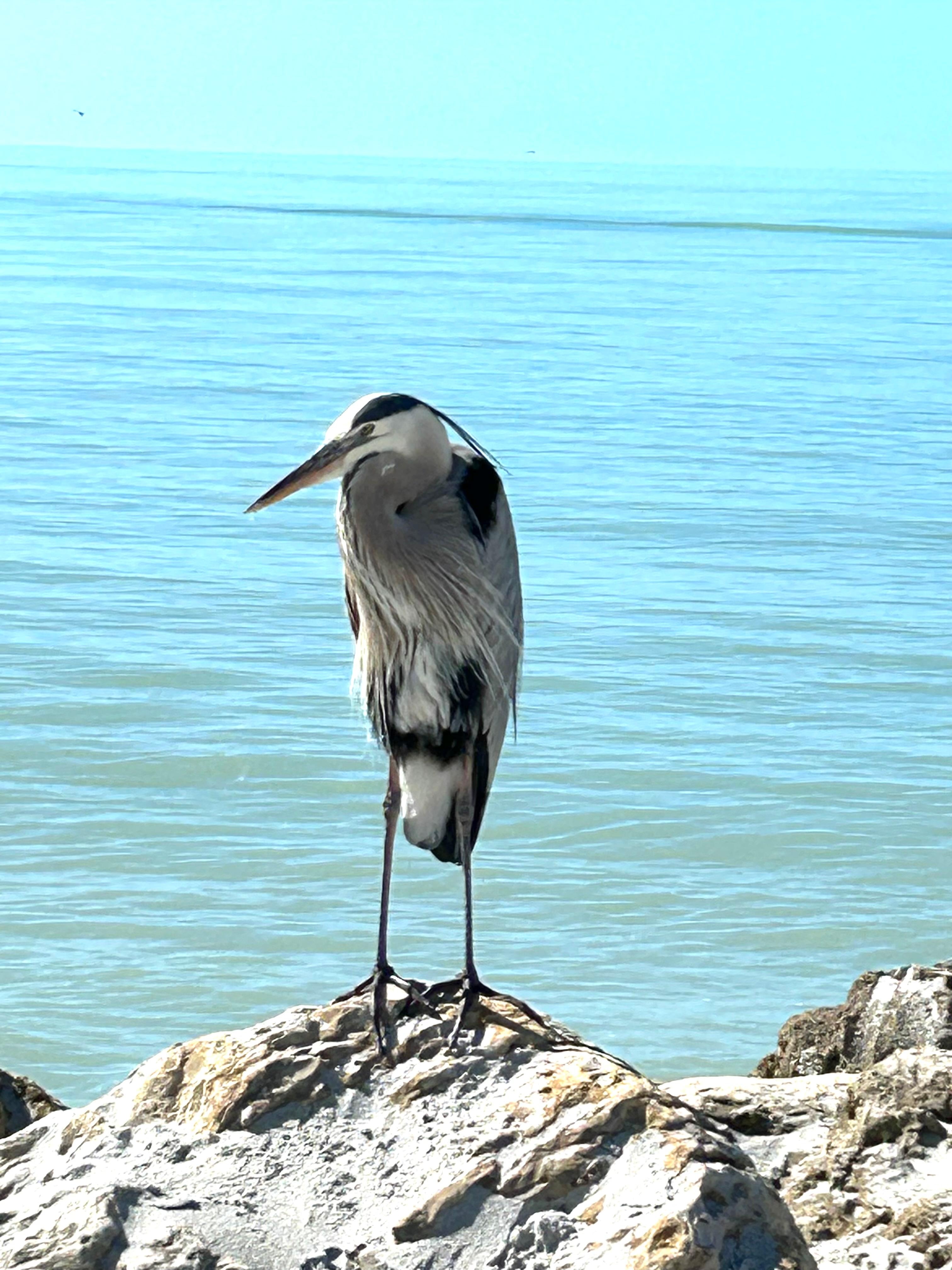 Turner beach on Captiva