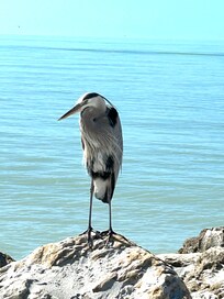Turner beach on Captiva