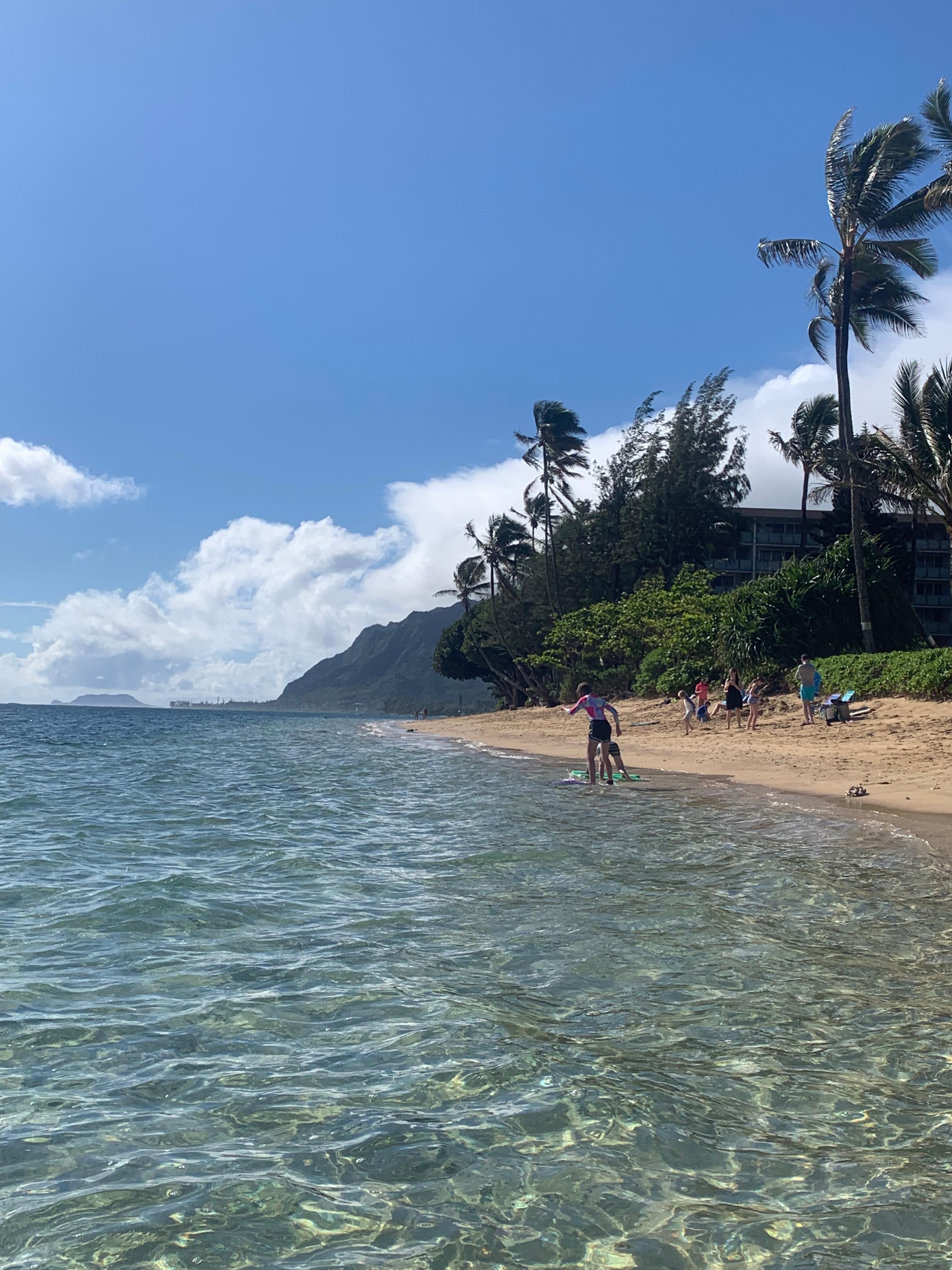 View from the beach in front of the condo