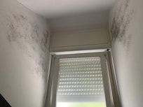 Must in the bathroom