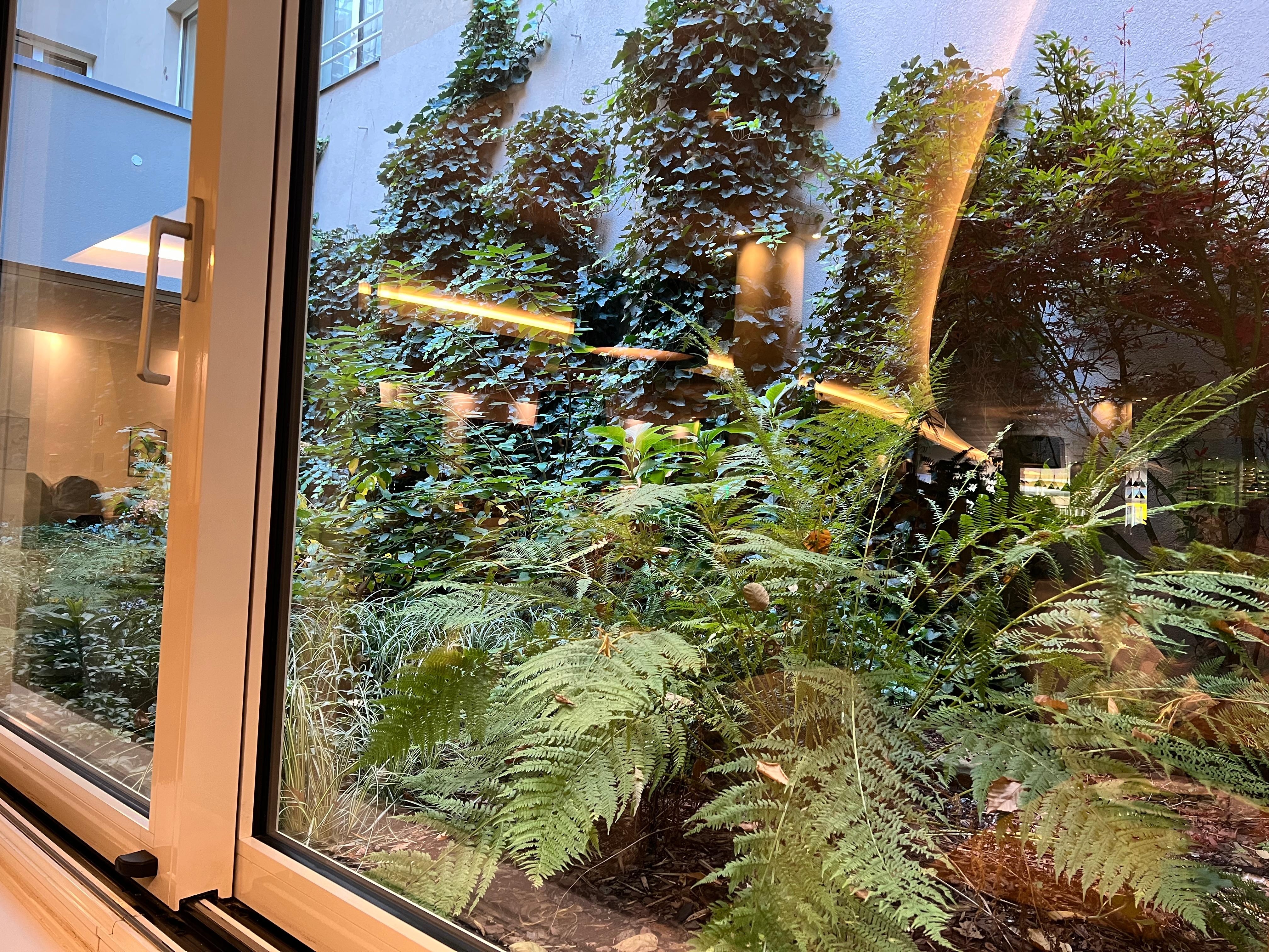 Plants outside the breakfast place