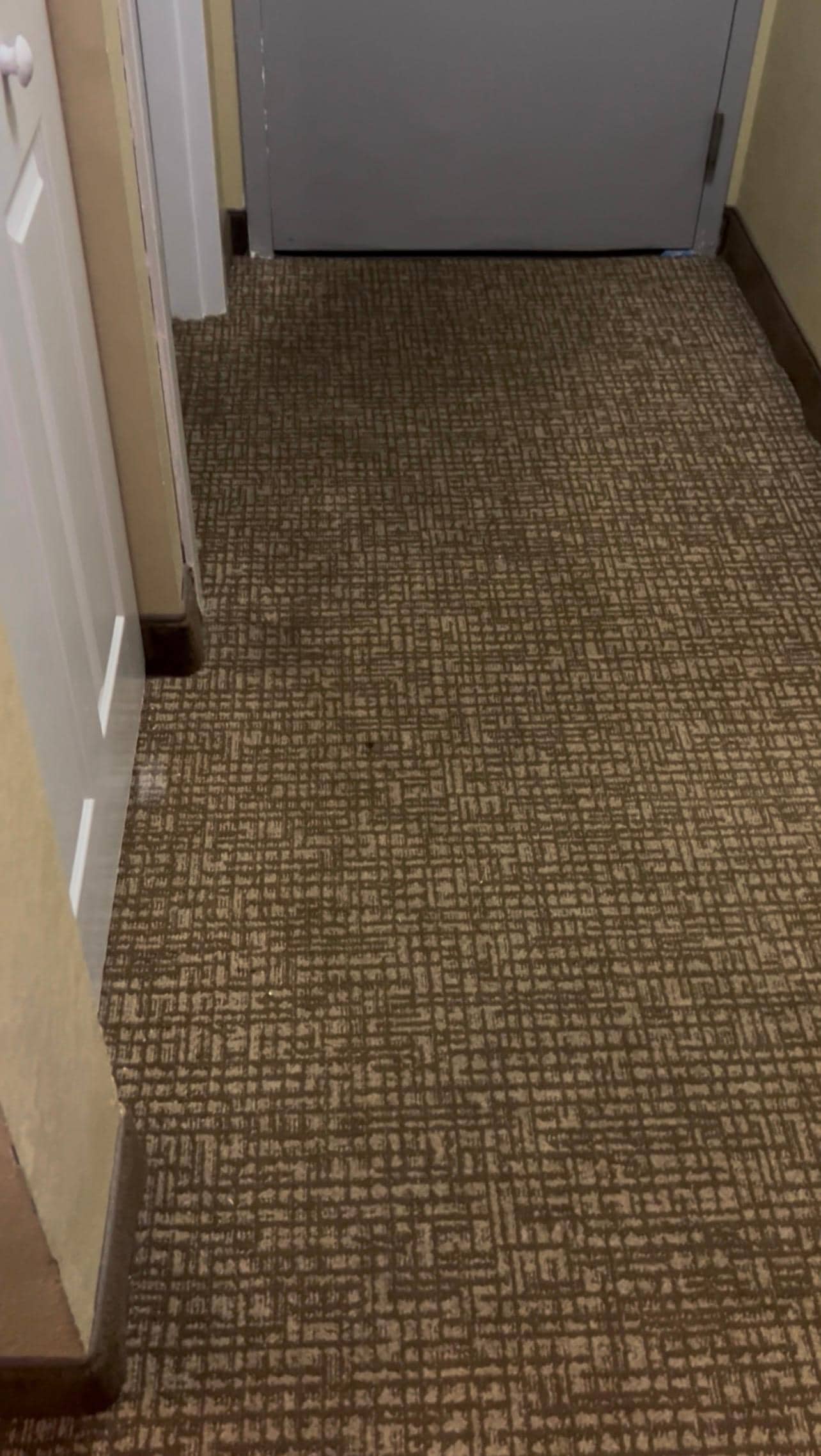 The carpet innour room.