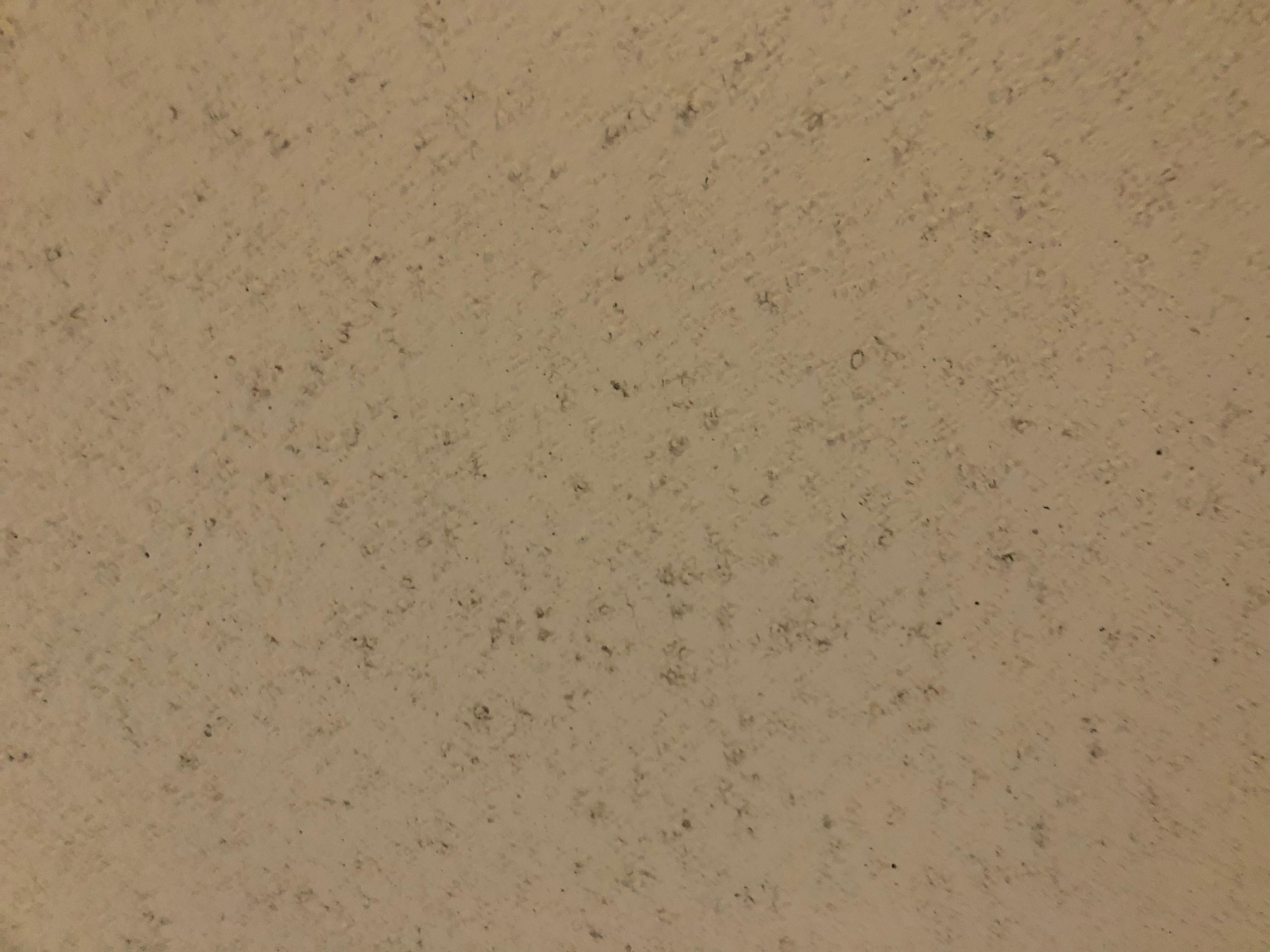 Mold ceiling 