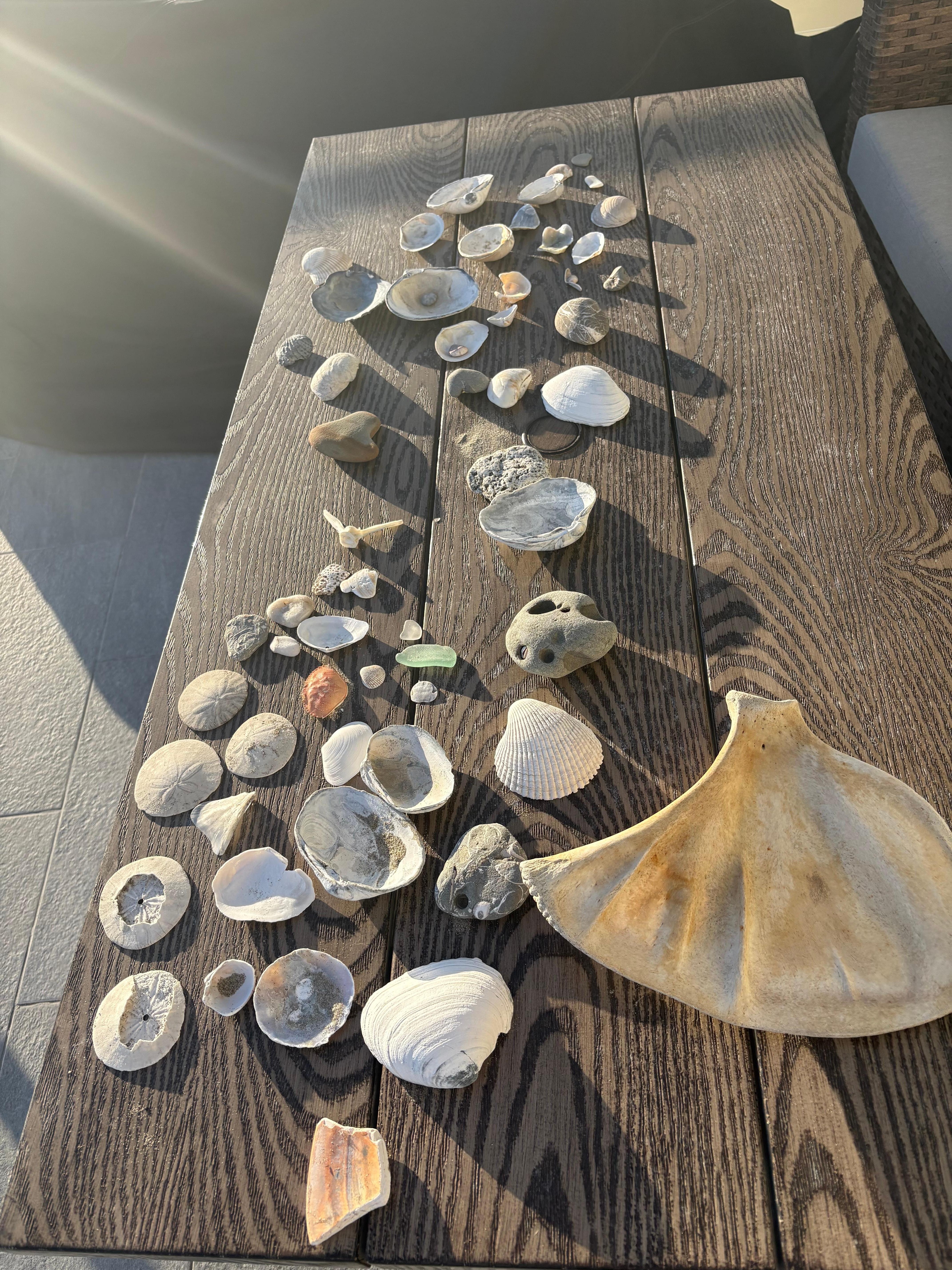 Treasures from the sea