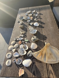 Treasures from the sea