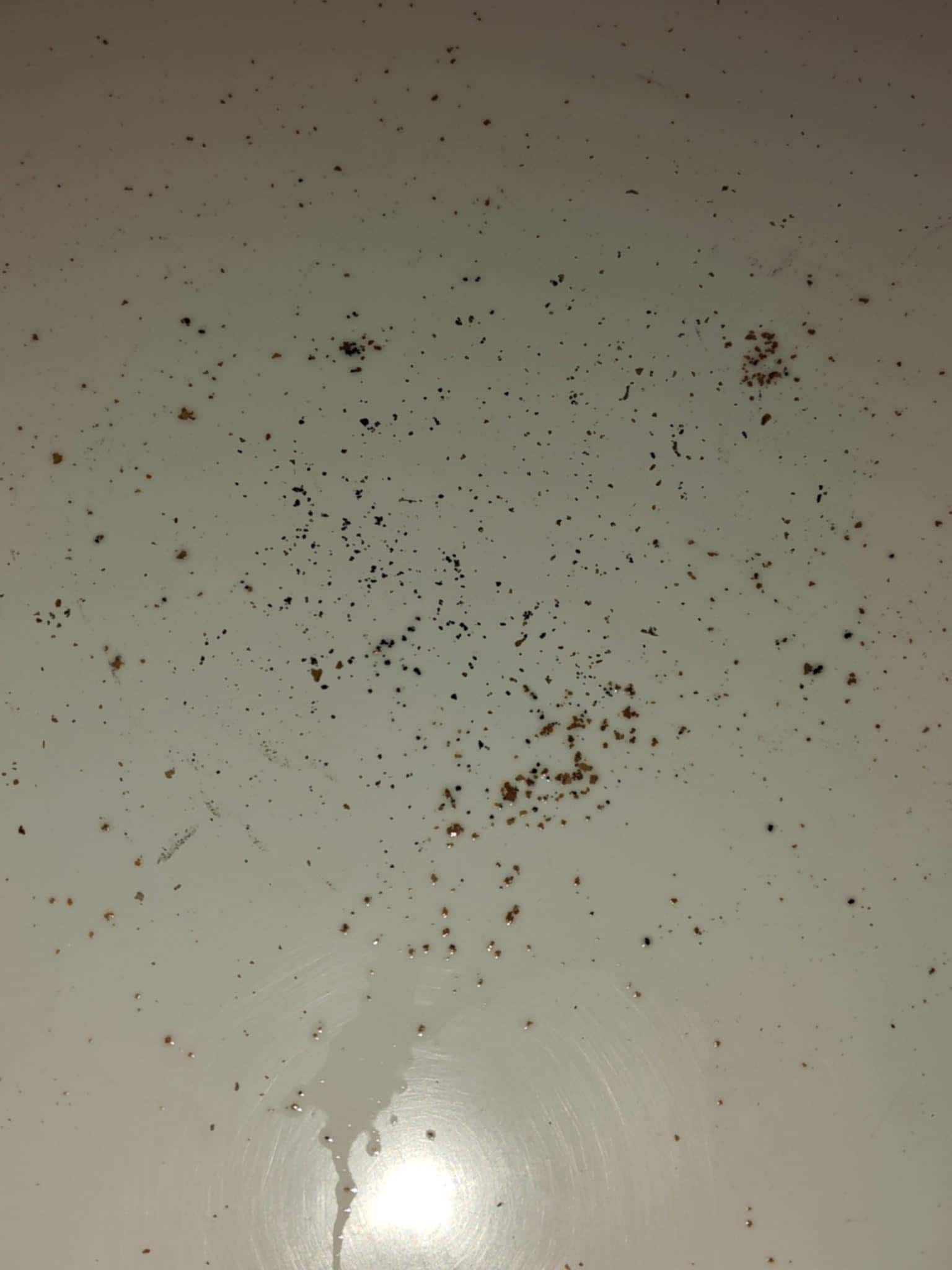 Never got to use the tub.