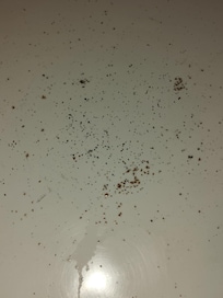 Never got to use the tub.