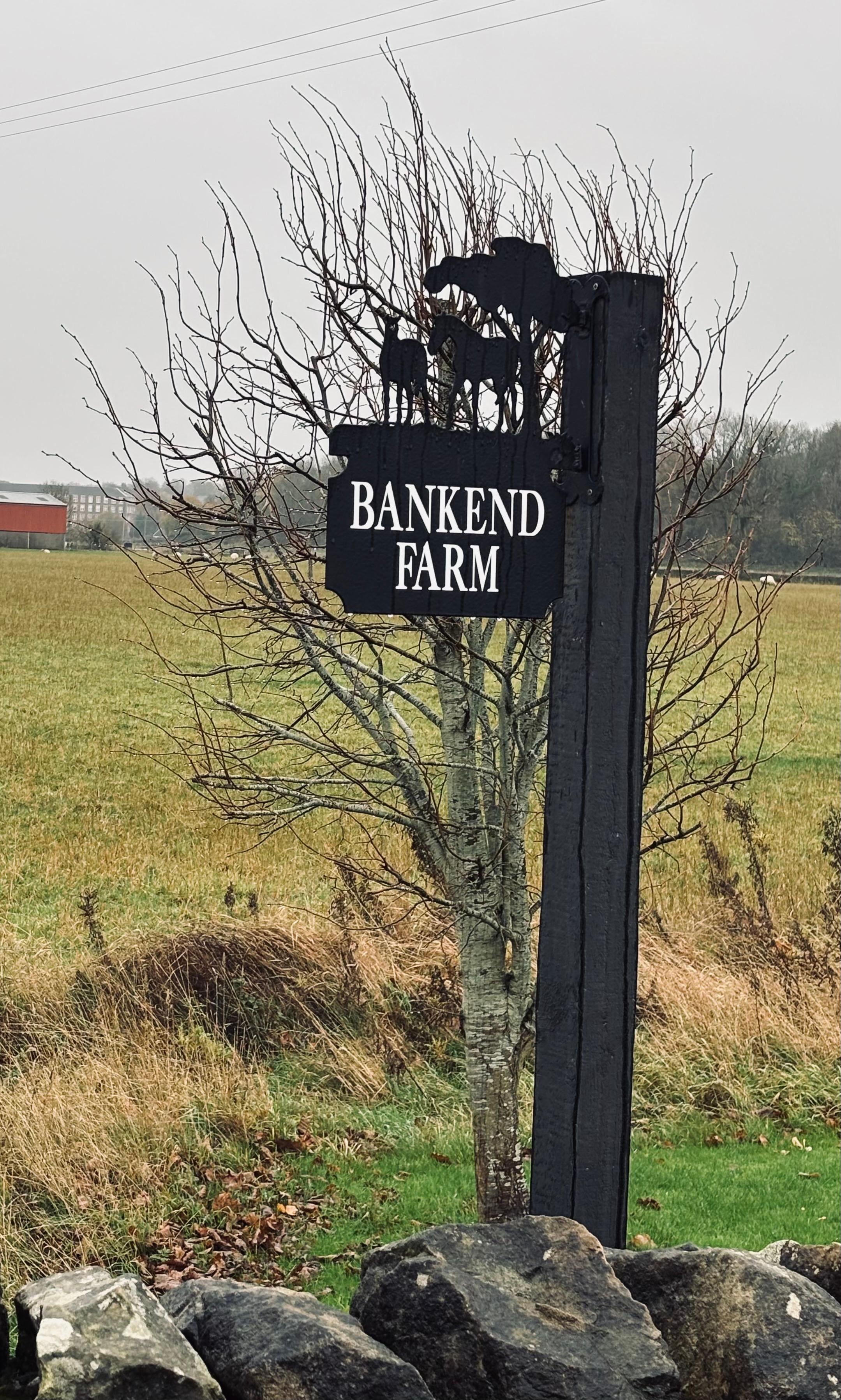 Bankend was a perfect location- not too far from the cities, but easy access to many of the rural locations and sights we wanted to visit as well.