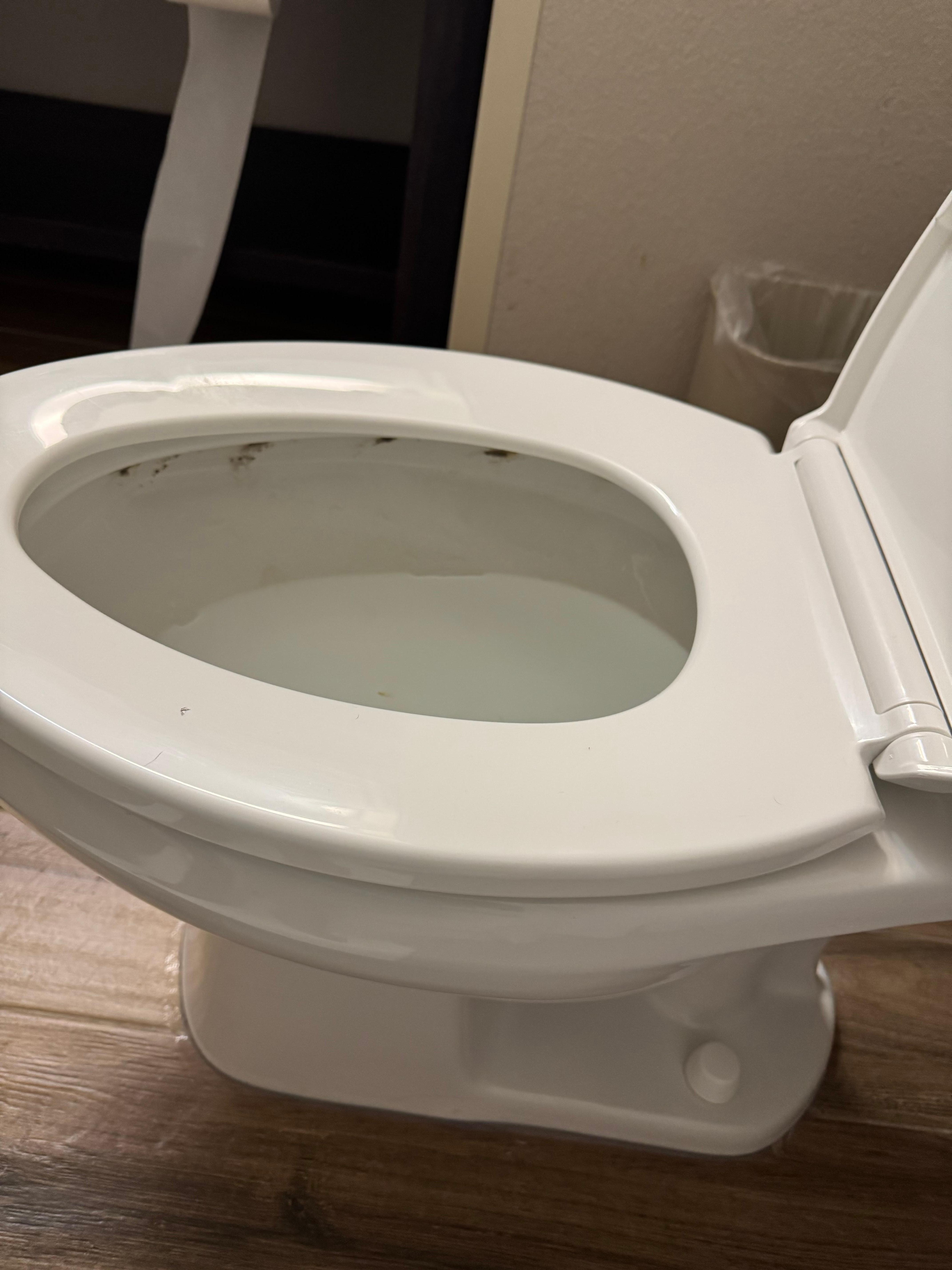 Stains or feces you can see from sitting in tub