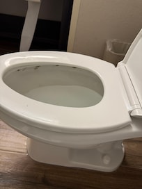 Stains or feces you can see from sitting in tub