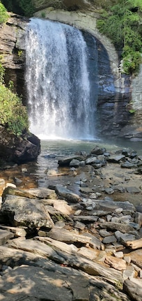 Pisgah National forest