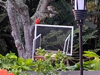 Birdfeeder, they left birdseed for us to feed the birds every day they are getting quite chubby