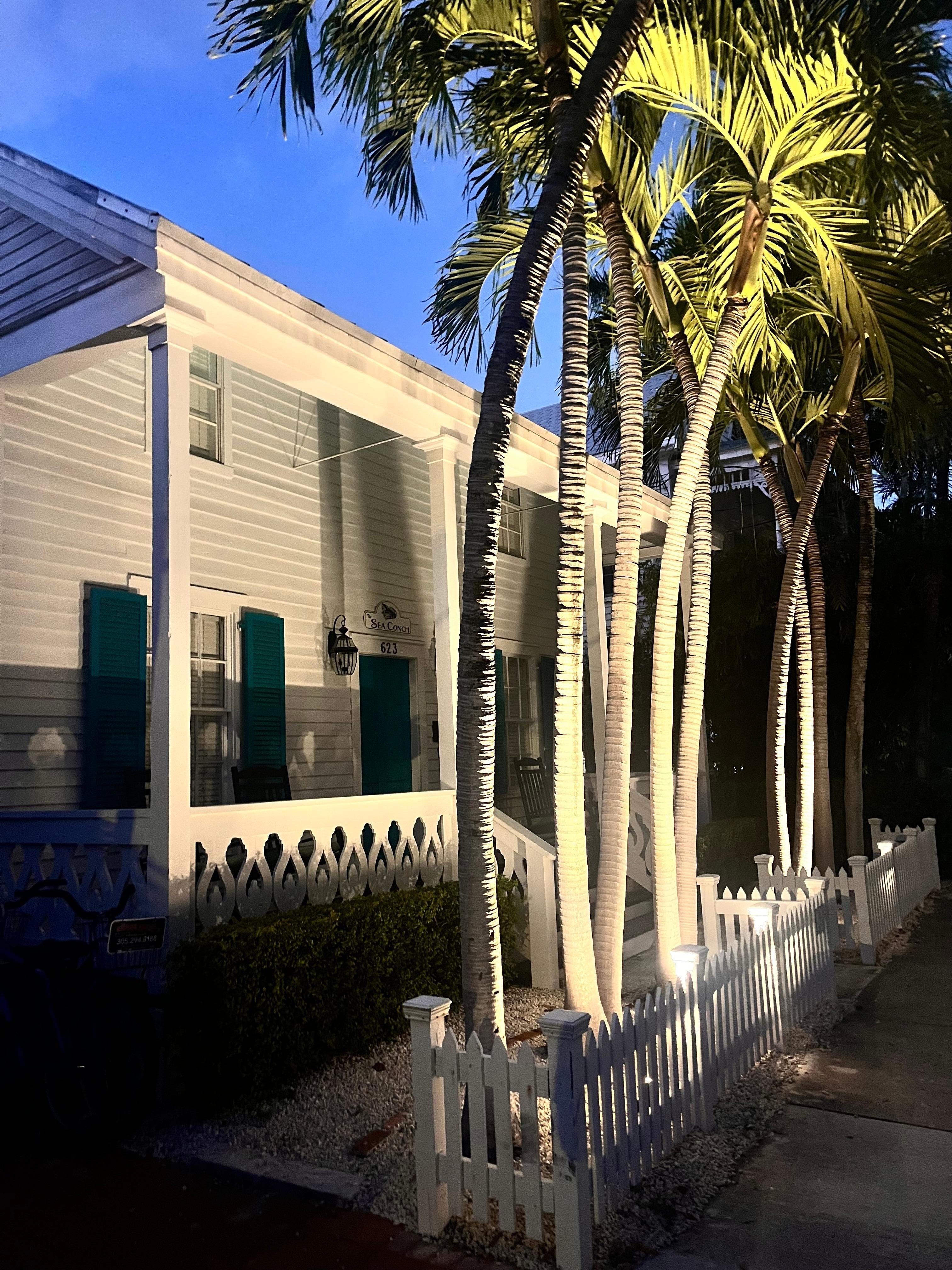 Evening walk home to the Rooster Conch