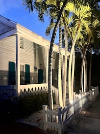 Evening walk home to the Rooster Conch