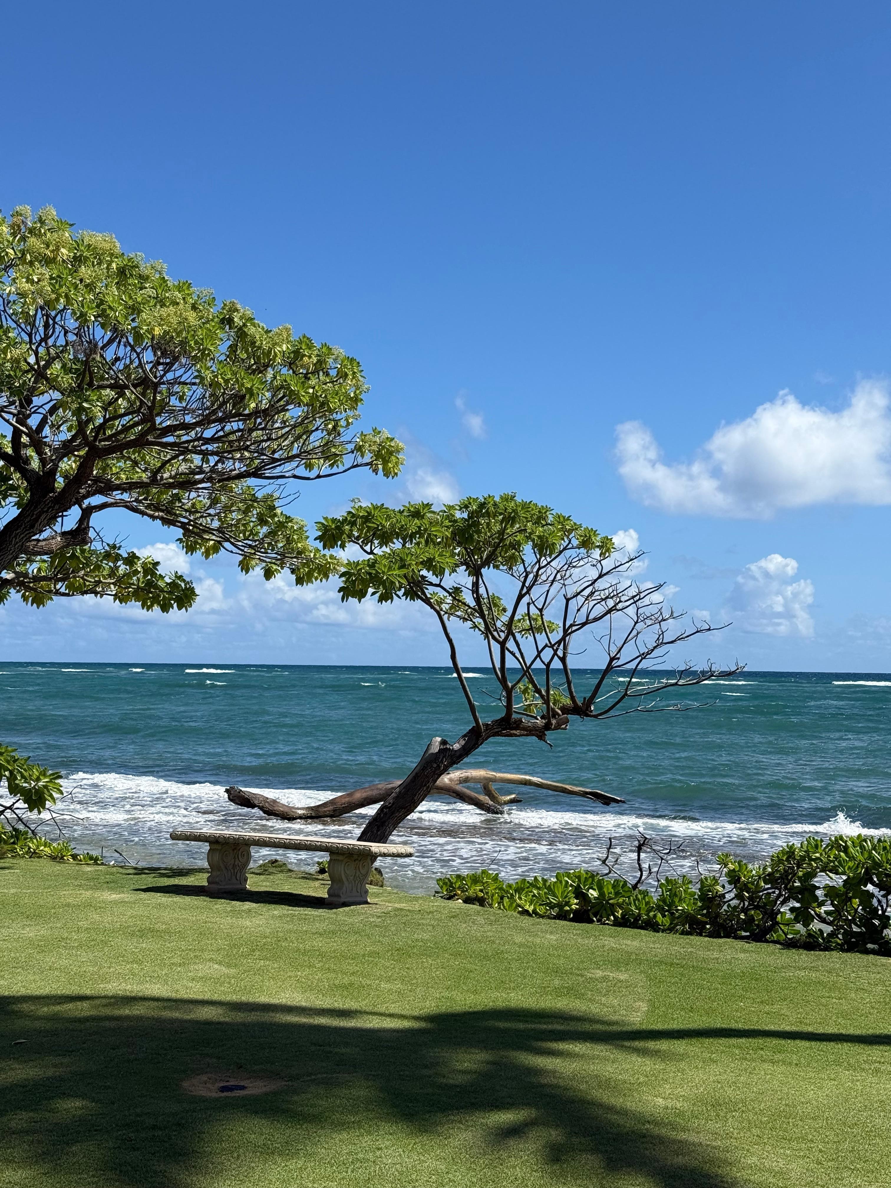 View from well maintained landscaping outside of our unit. 
