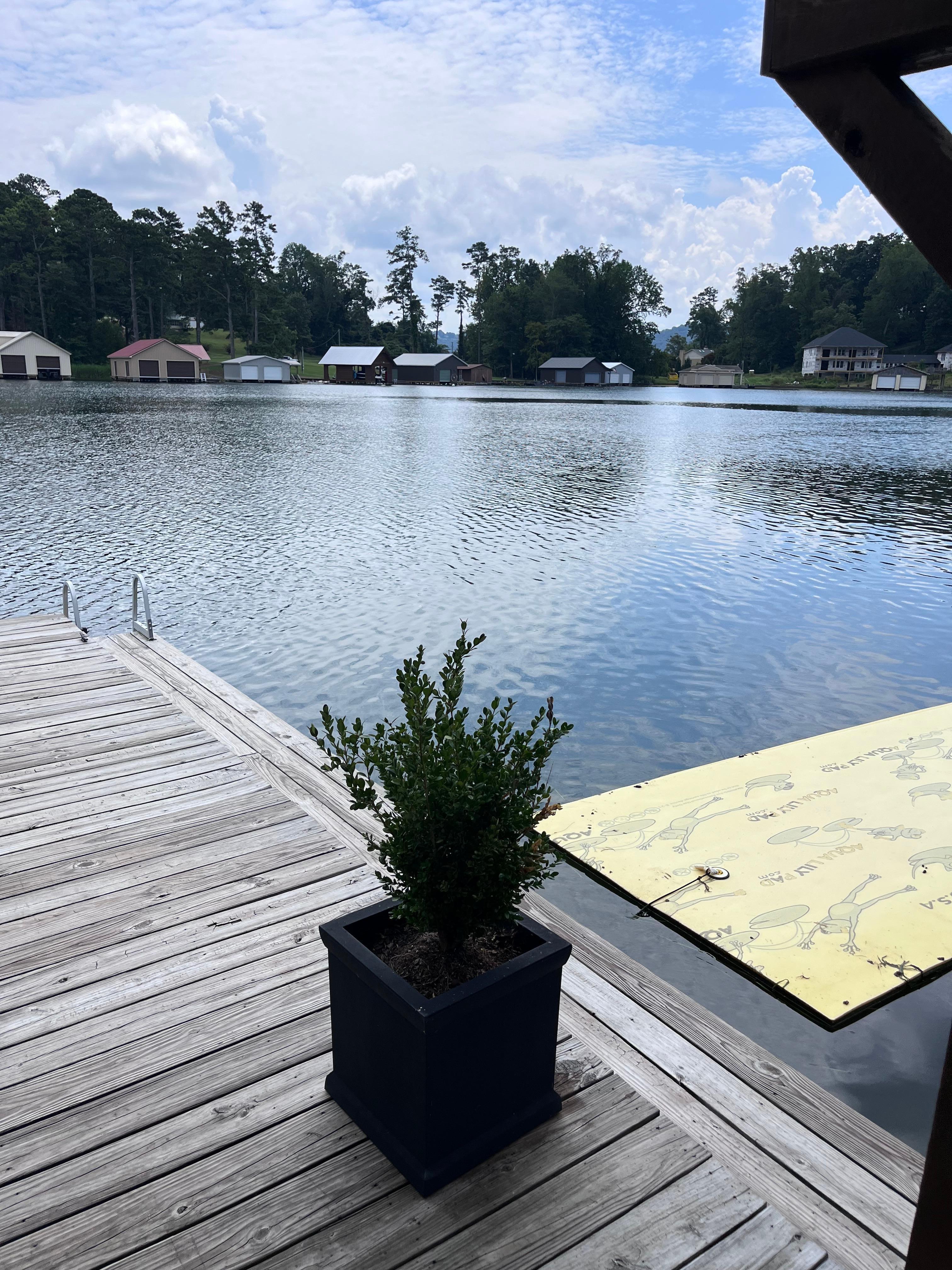 A view from the boathouse